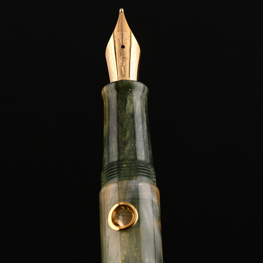 Nahvalur Nautilus, photo 11