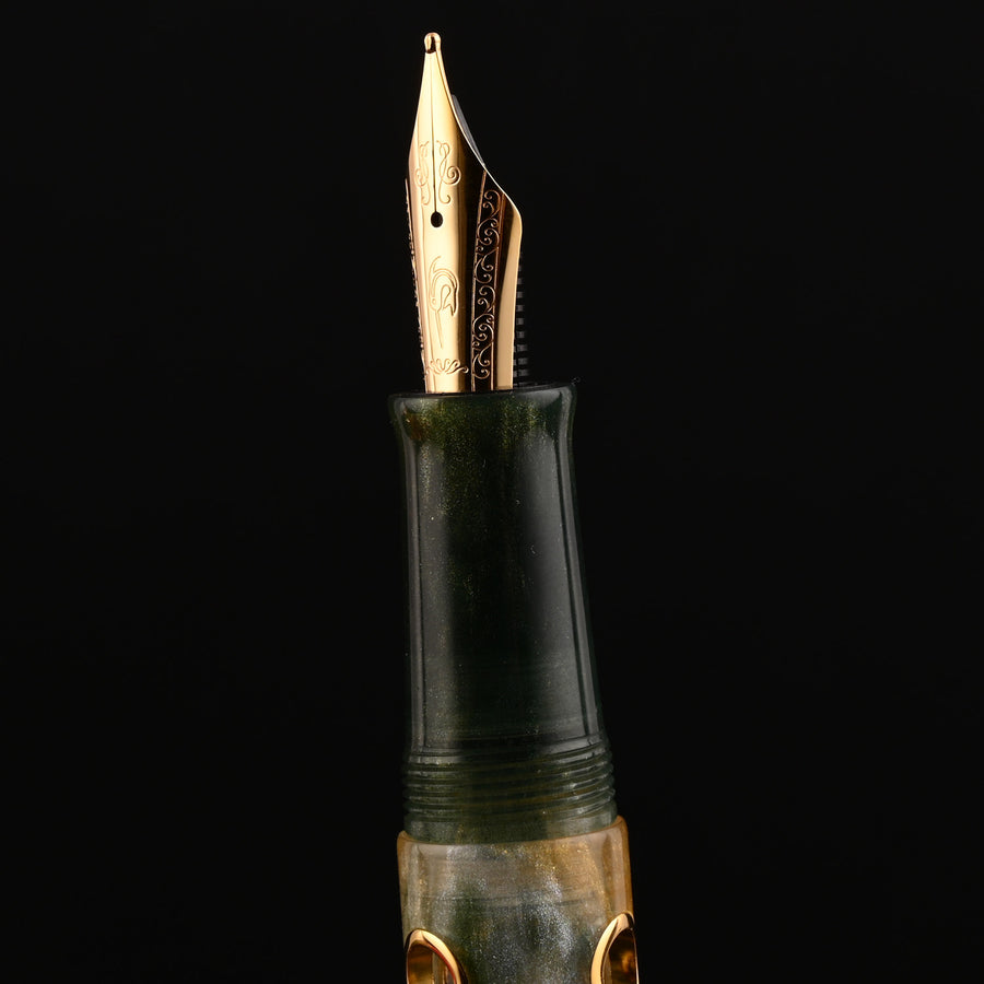 Nahvalur Nautilus, photo 12